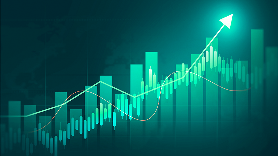 Membership Has Its Privileges: Who Pays the Premium? (CFA Institute Research Foundation Series)